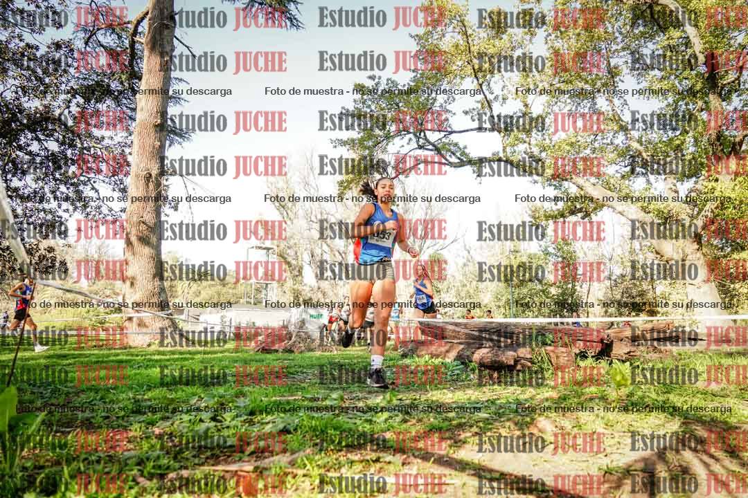 Fotos en el segundo punto del circuito