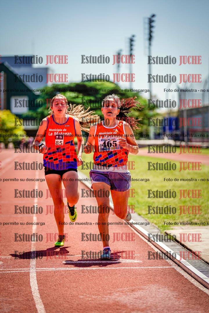 Fotos de los 800 m llanos de mujeres