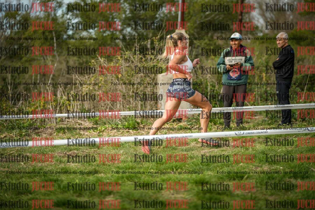 Fotos en el circuito