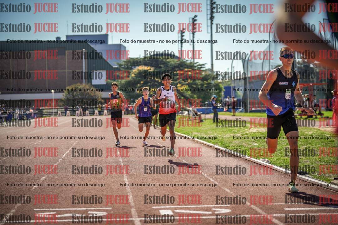 Fotos de los 800 m llanos de varones