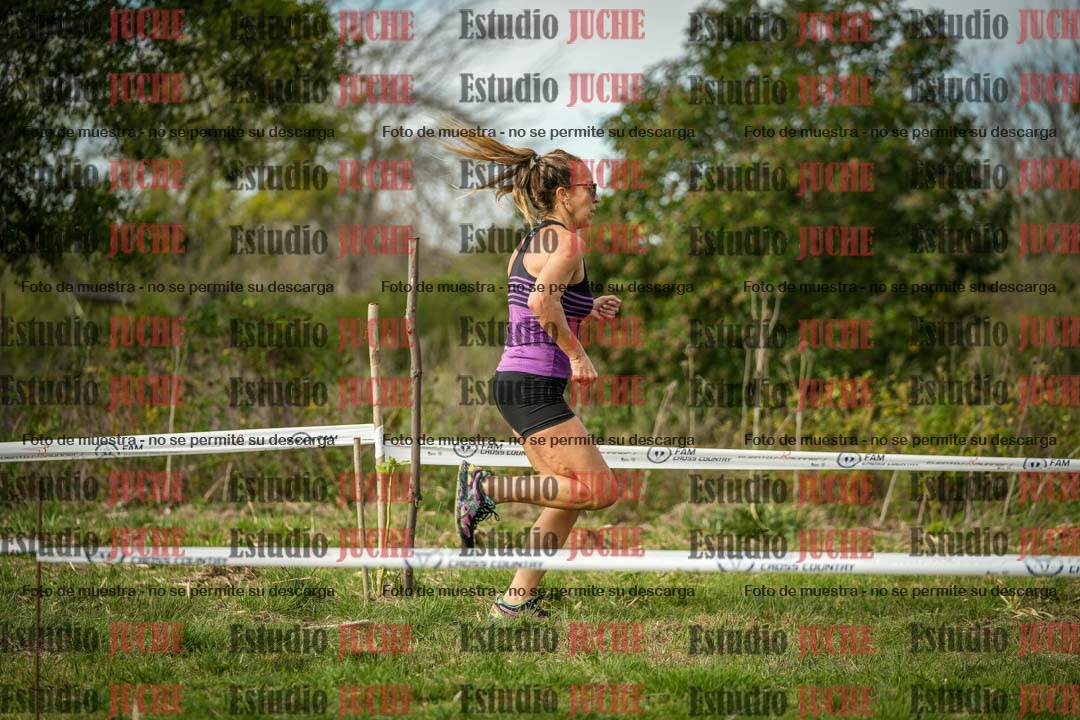 Fotos en el circuito