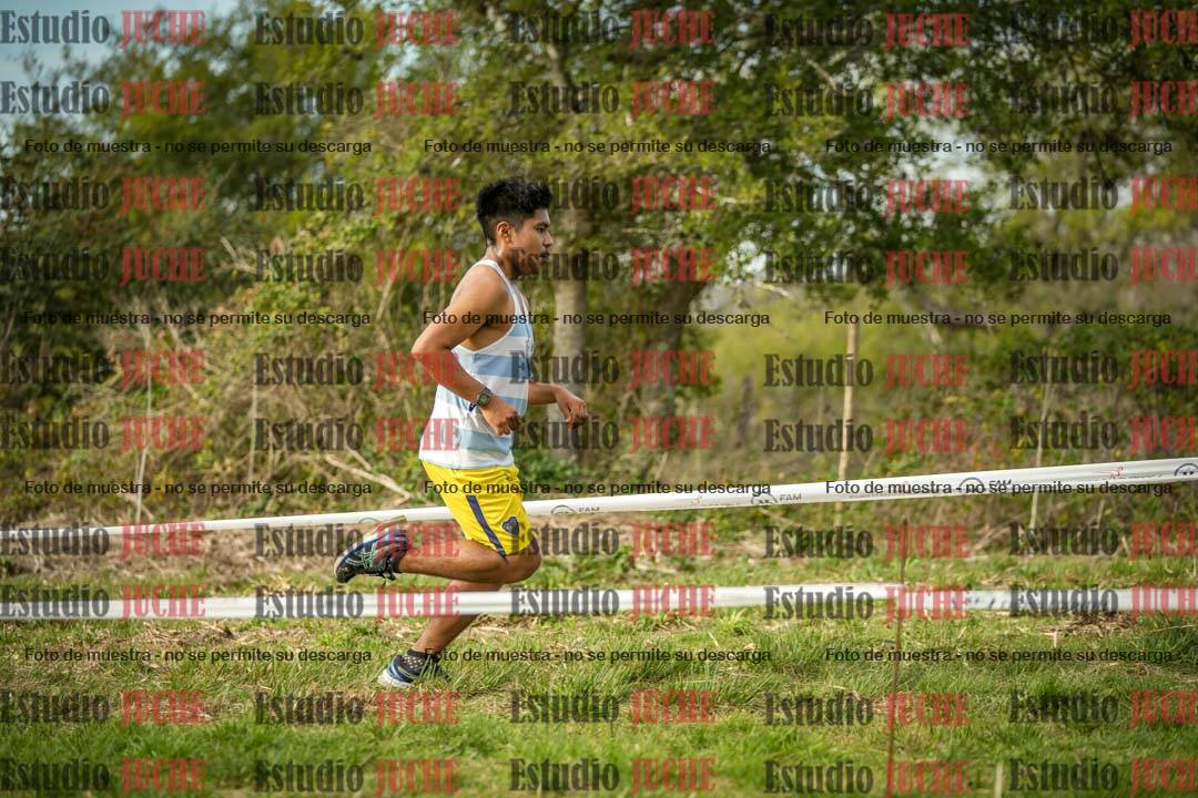 Fotos en el circuito