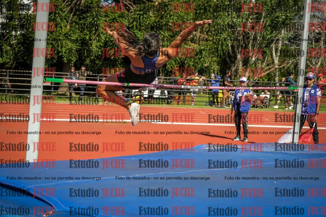 Fotos del salto en alto de mujeres - heptatlón 2