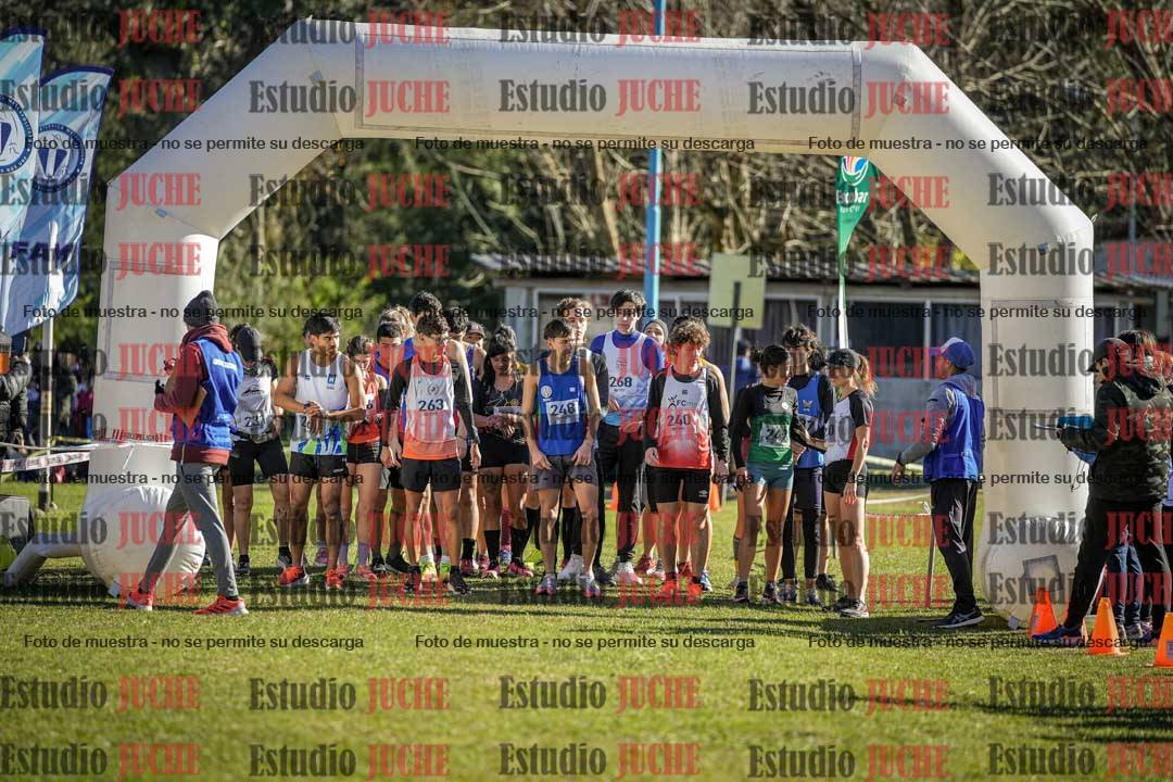 Fotos en de la largada
