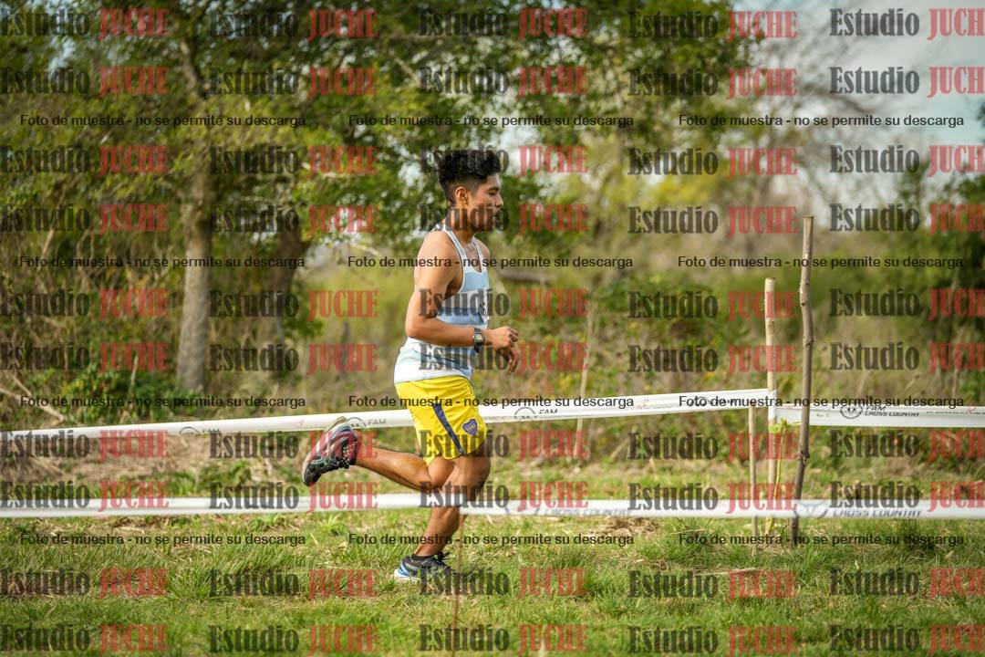 Fotos en el circuito