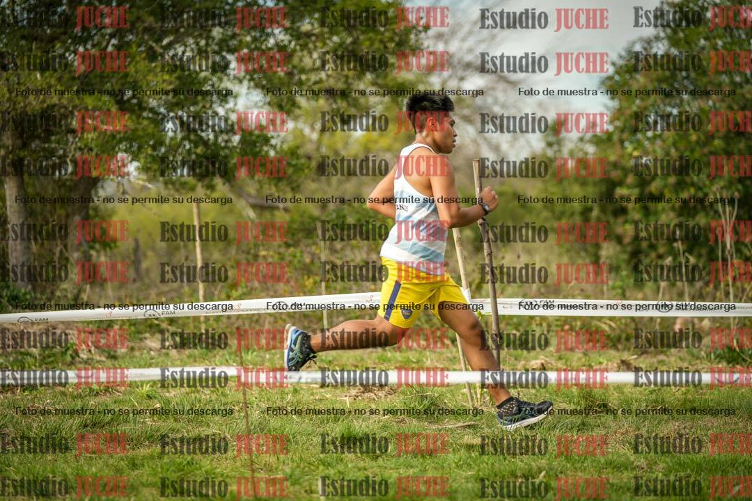 Fotos en el circuito