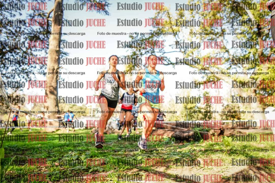Fotos en el segundo punto del circuito