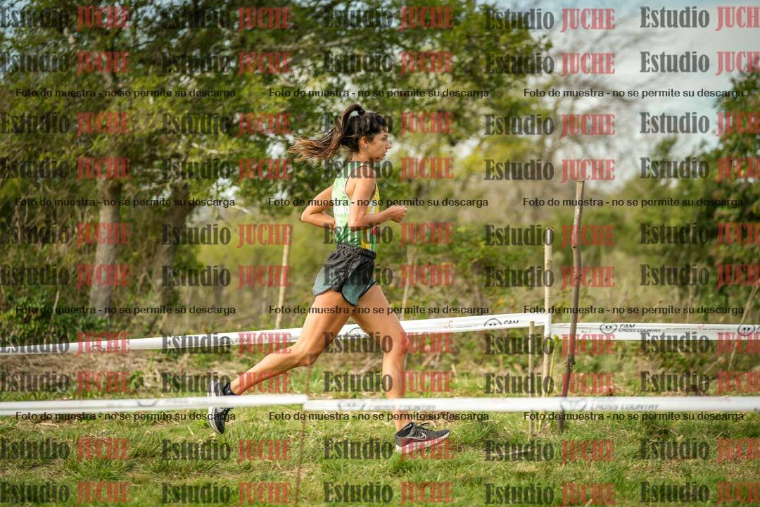 Fotos en el circuito