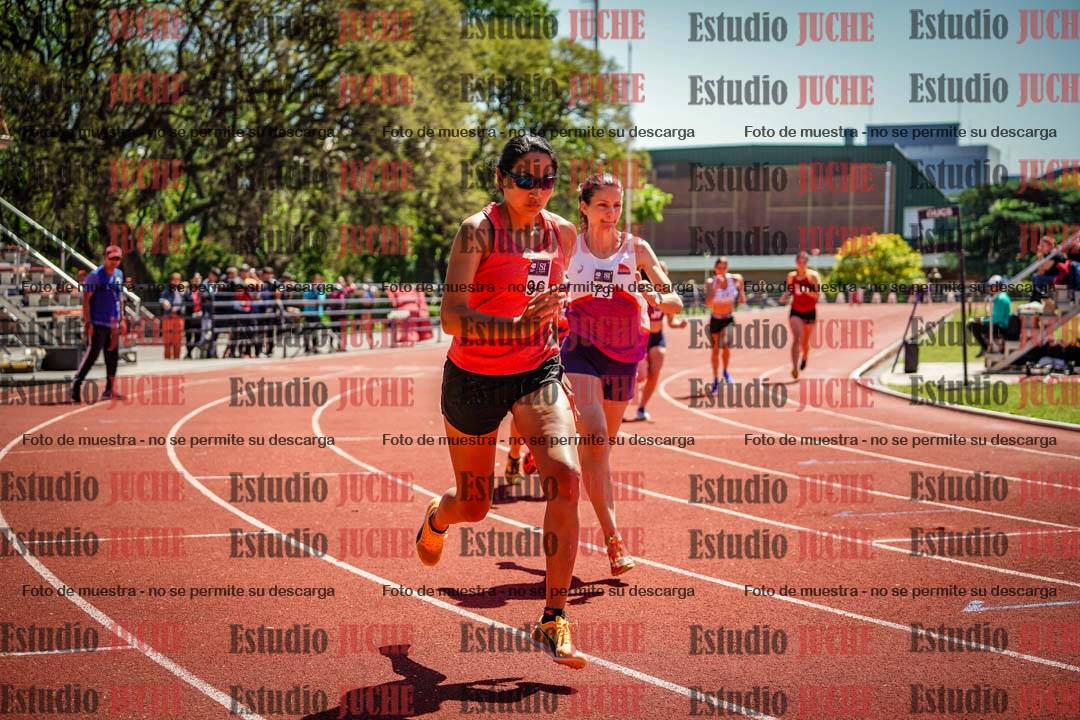 Fotos de los 800 m llanos de mujeres