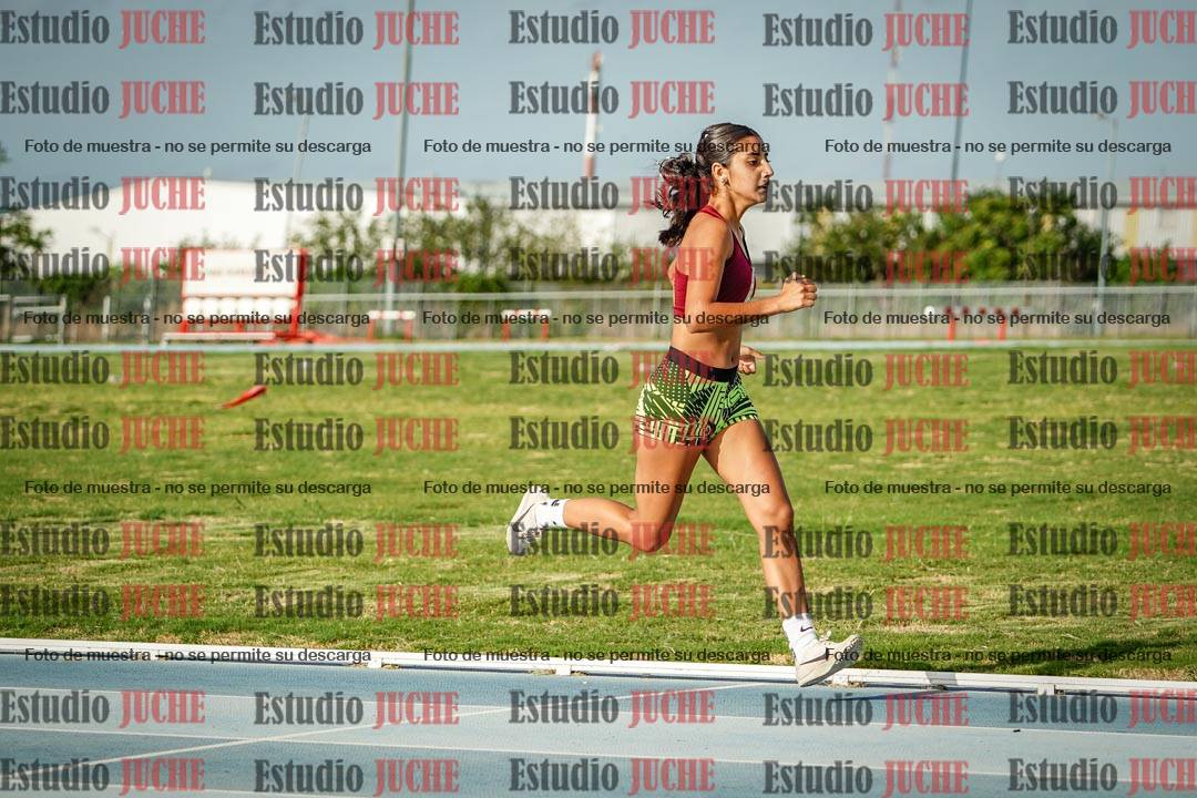 Fotos de los 800 m llanos de mujeres
