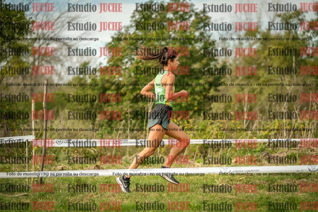 Fotos en el circuito