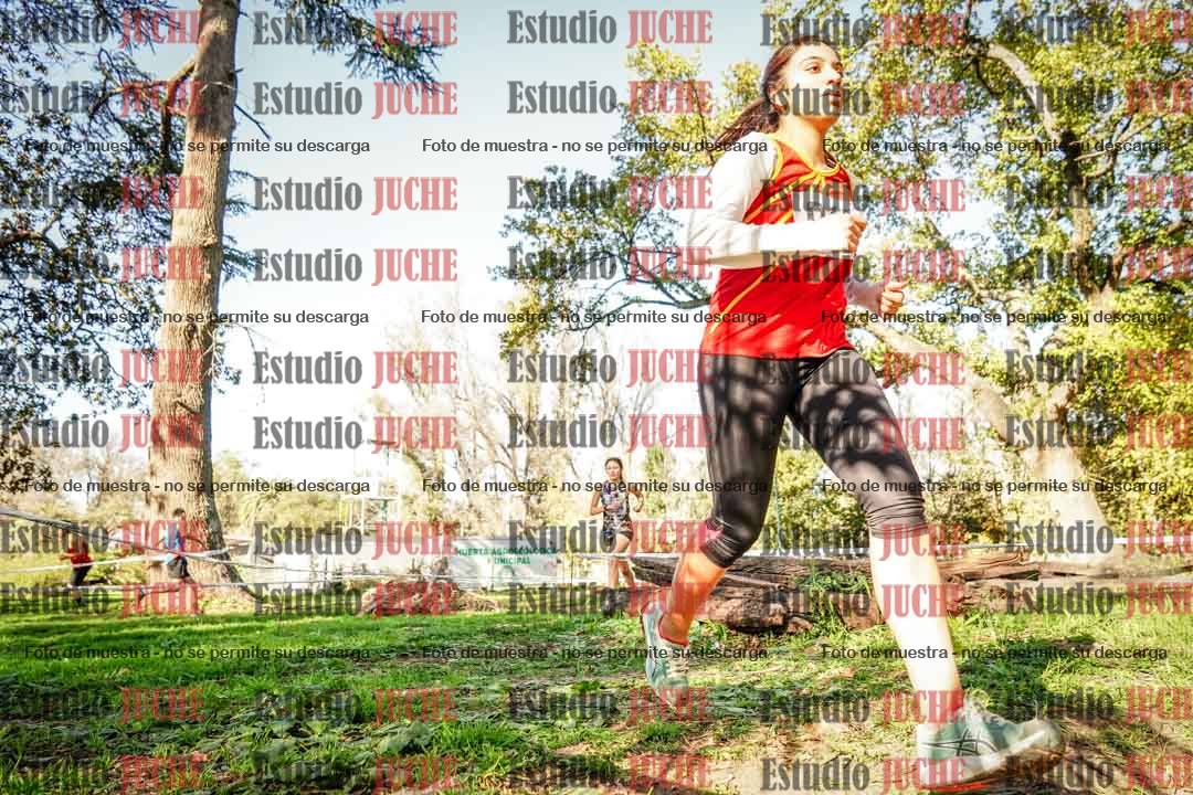 Fotos en el segundo punto del circuito