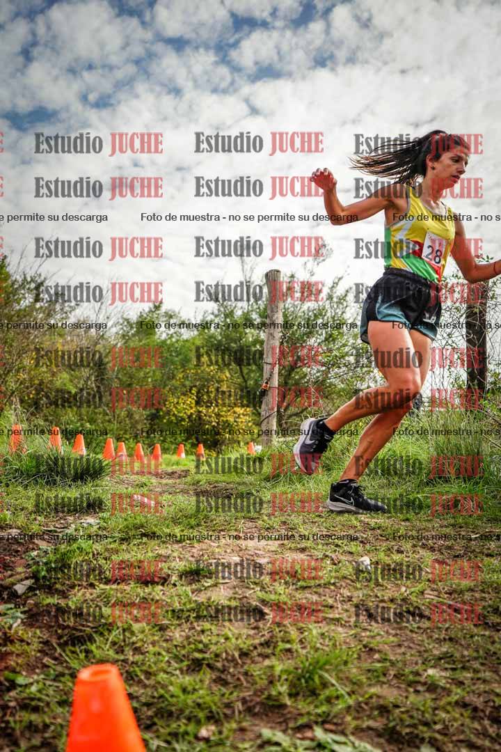 Fotos en el circuito