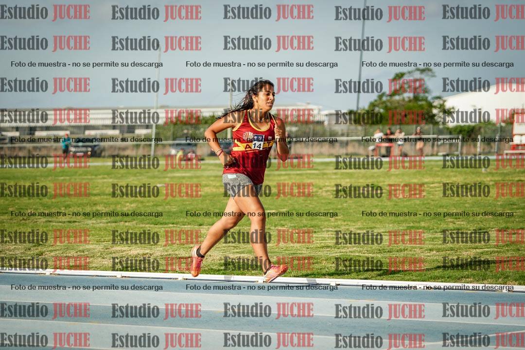 Fotos de los 800 m llanos de mujeres