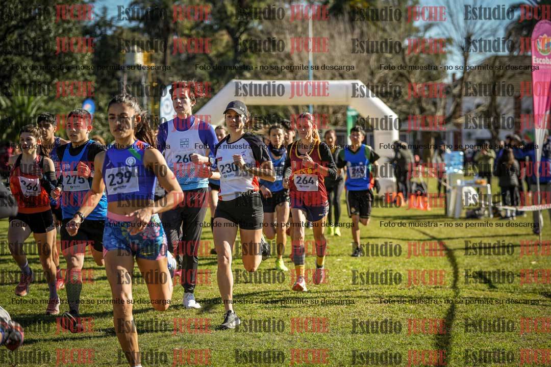 Fotos en de la largada