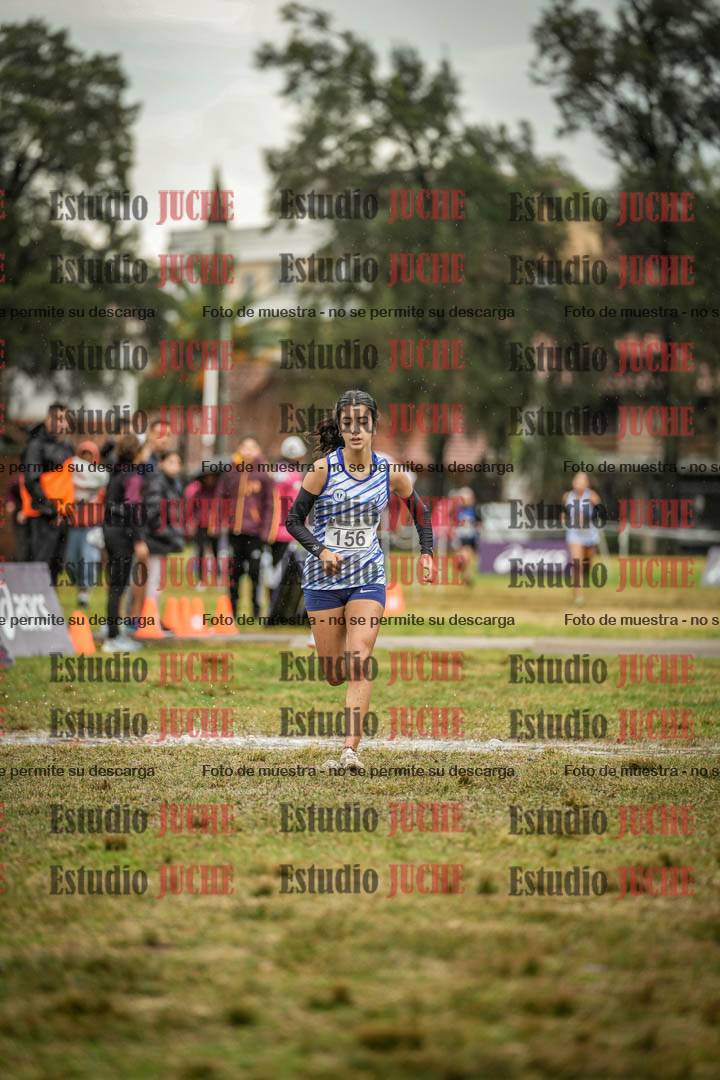 Fotos de la llegada