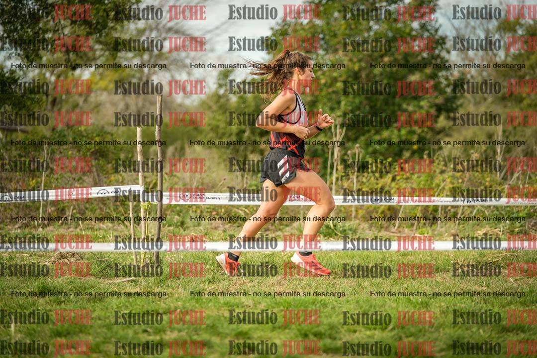 Fotos en el circuito
