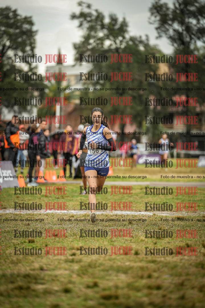 Fotos de la llegada