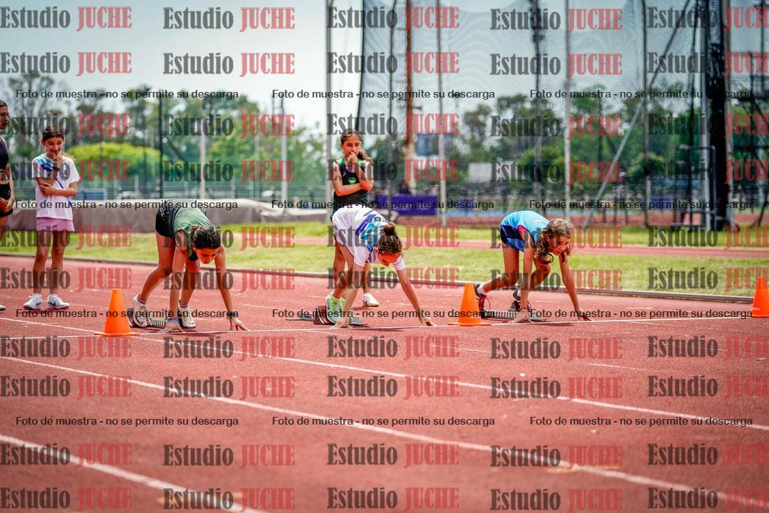 Fotos de los 60 m con vallas de mujeres