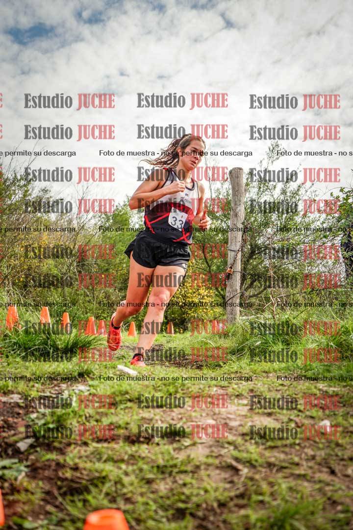 Fotos en el circuito