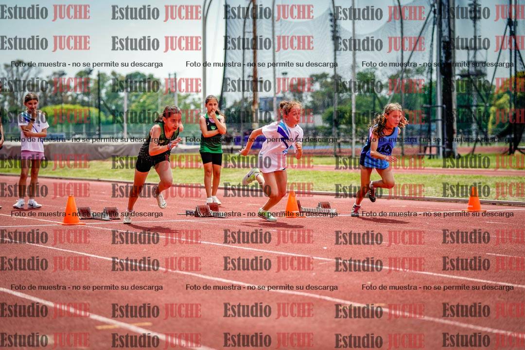 Fotos de los 60 m con vallas de mujeres