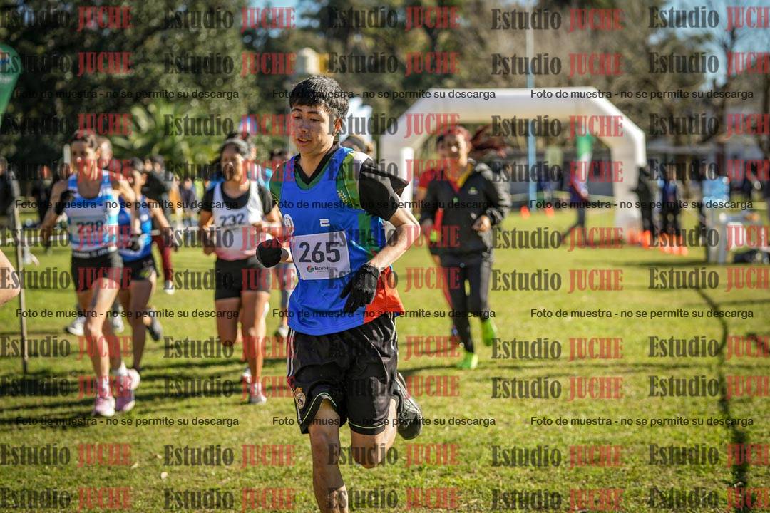 Fotos en de la largada