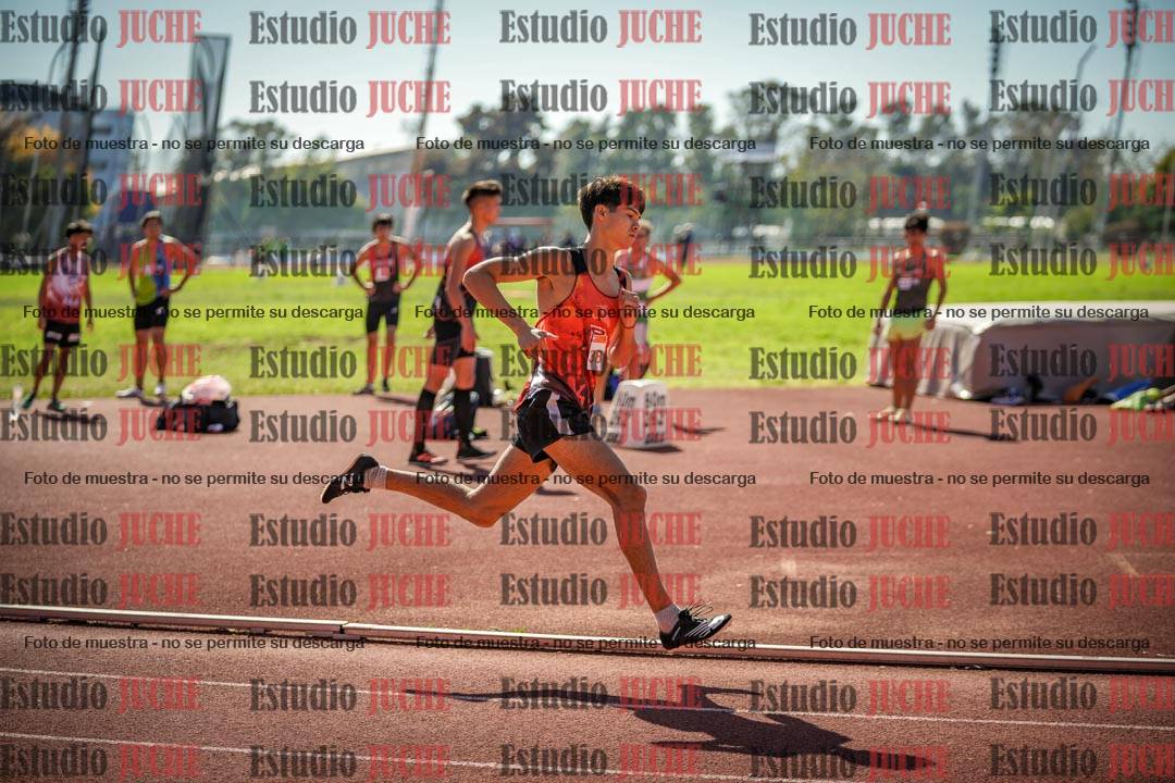 Fotos de los 800 m llanos de varones