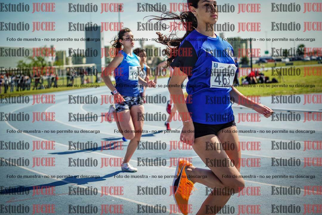 Fotos de los 800 m llanos de mujeres