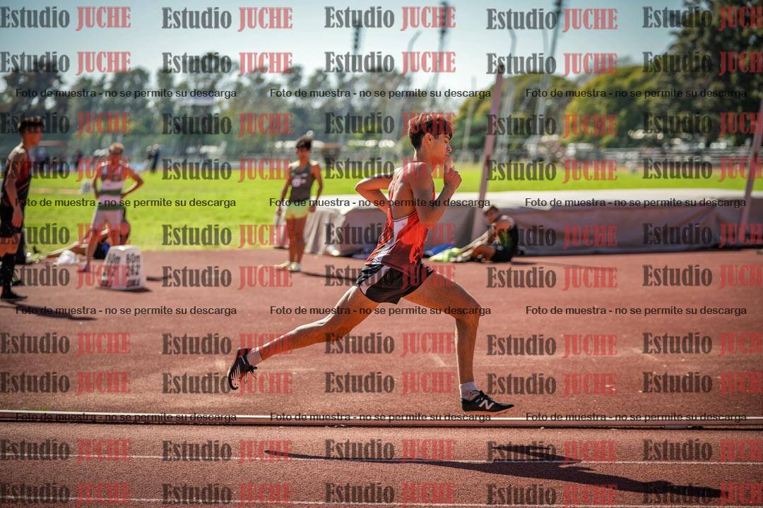 Fotos de los 800 m llanos de varones
