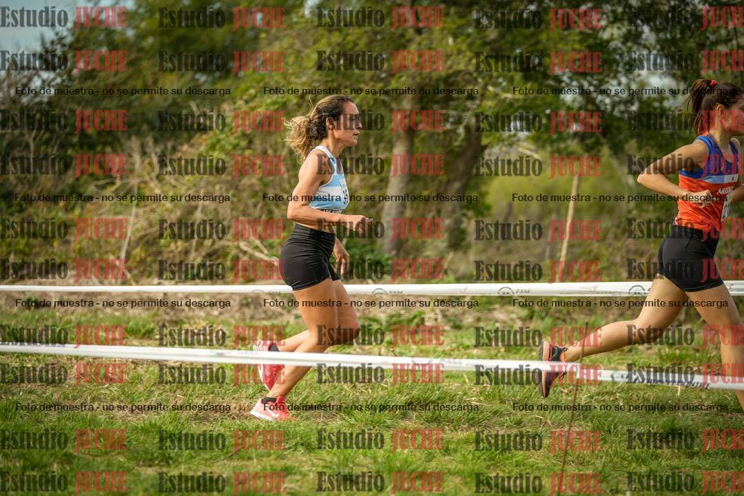 Fotos en el circuito