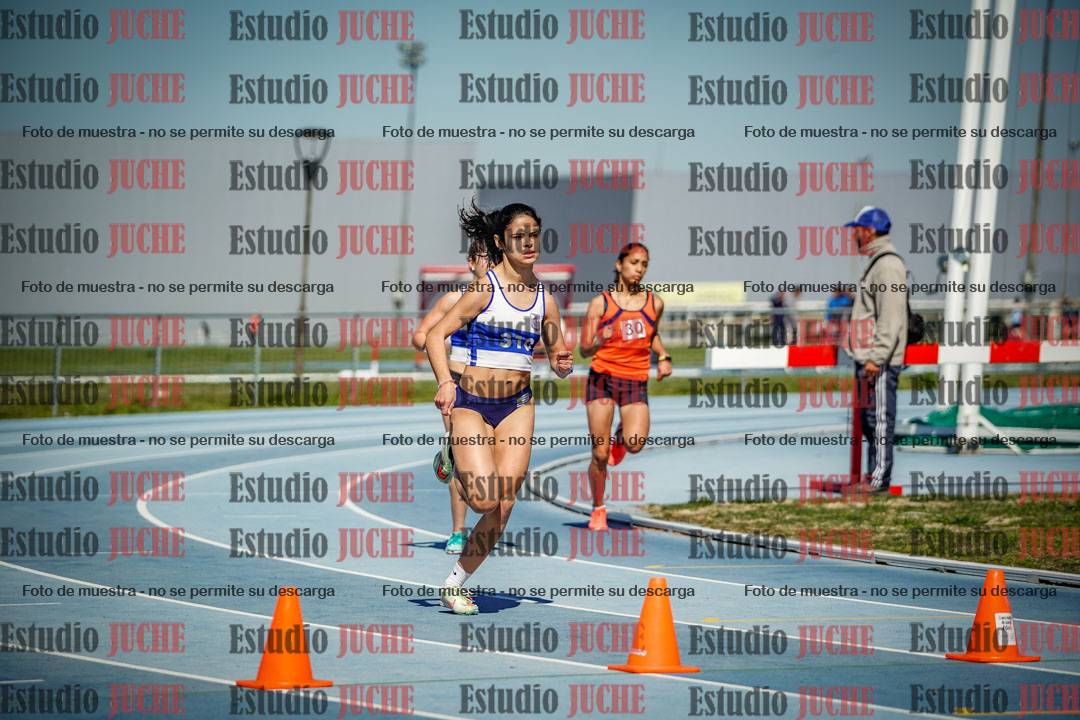 Fotos de los 800 m llanos de mujeres
