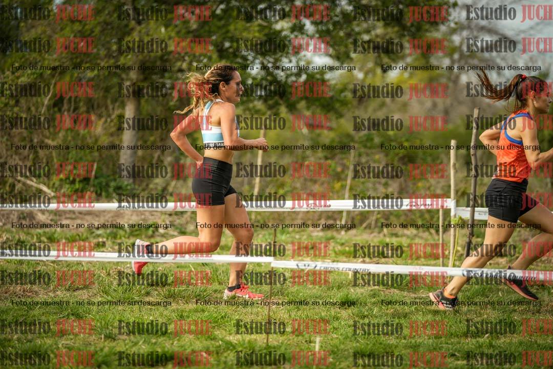 Fotos en el circuito