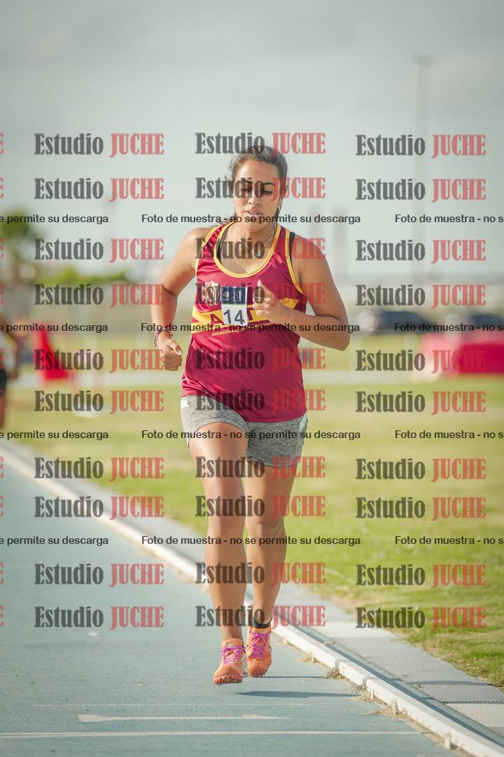 Fotos de los 800 m llanos de mujeres