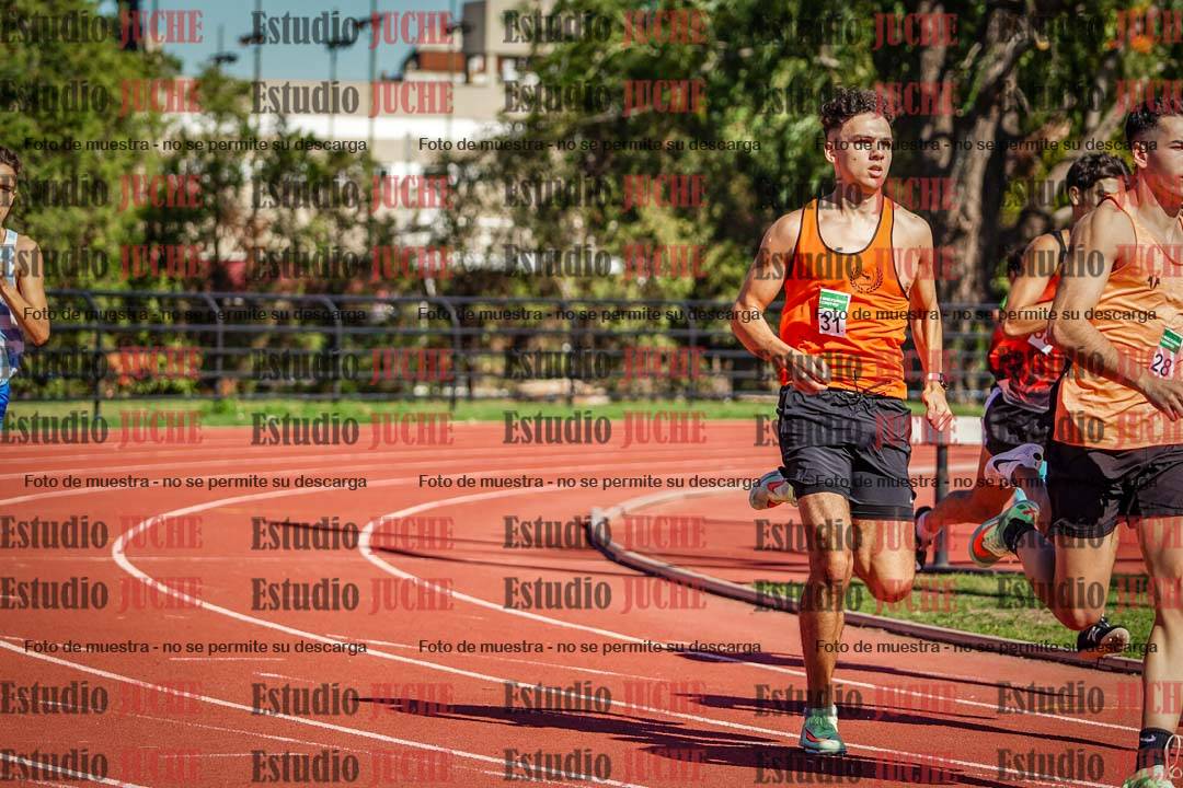 Fotos de los 800 m llanos de varones