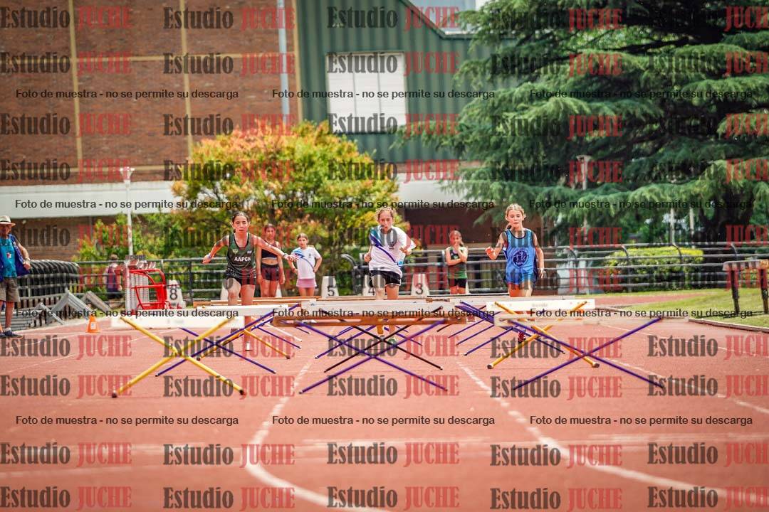 Fotos de los 60 m con vallas de mujeres