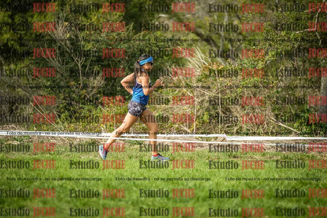 Fotos en el circuito