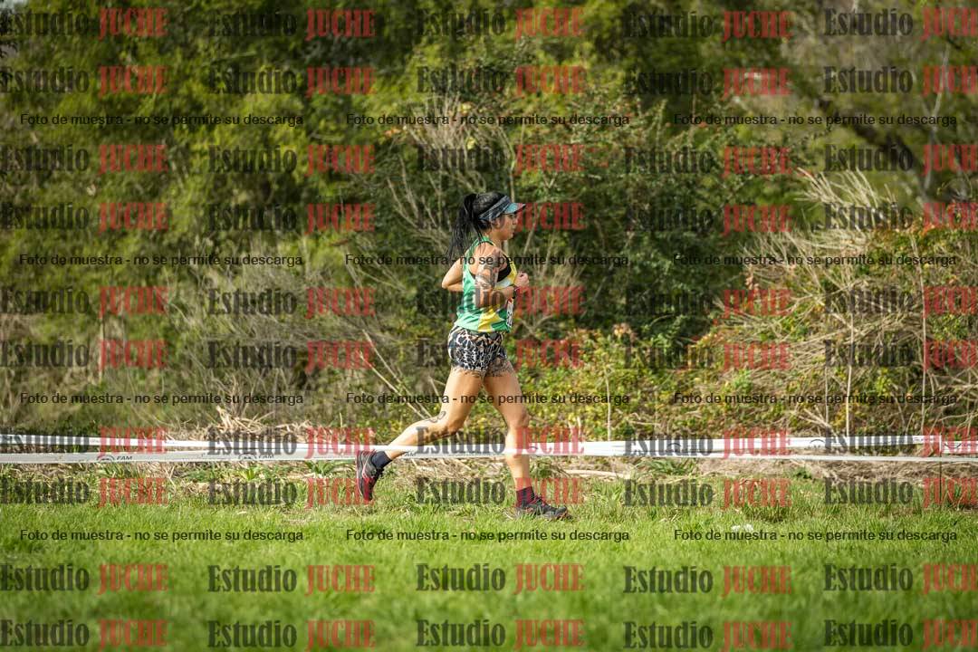 Fotos en el circuito