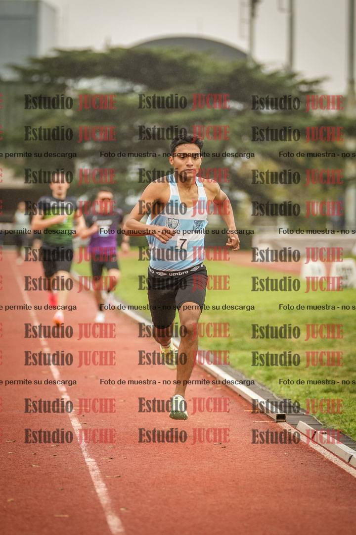 Fotos de los 800 m llanos de varones