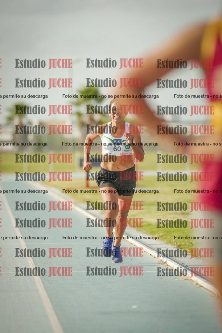Fotos de los 800 m llanos de mujeres