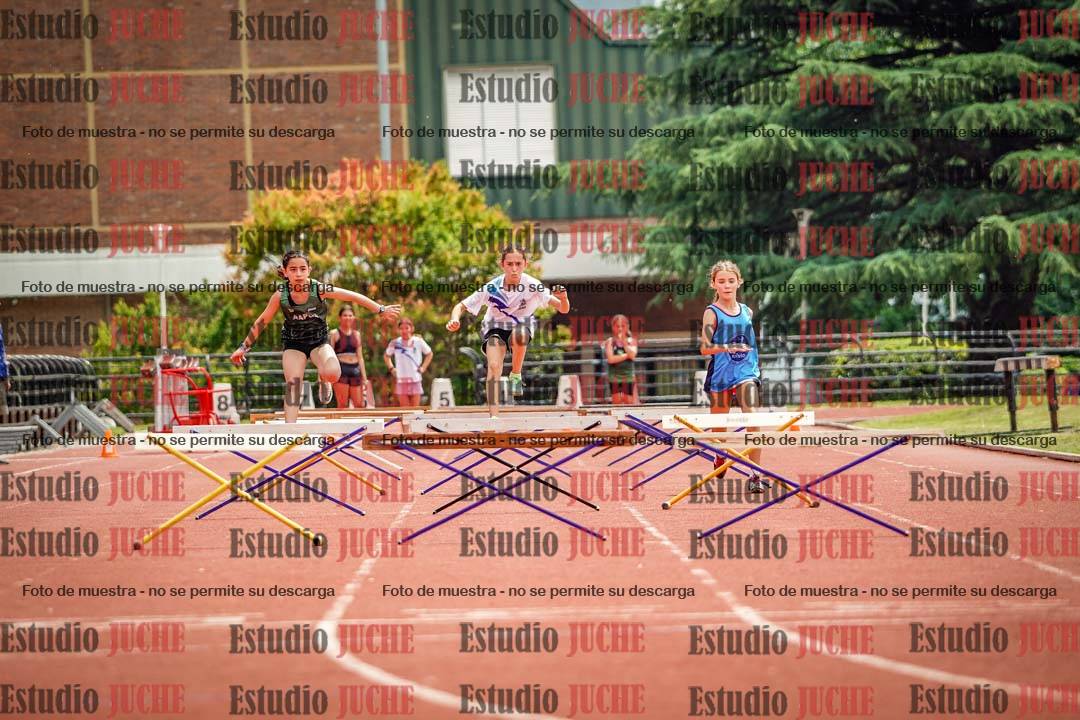 Fotos de los 60 m con vallas de mujeres