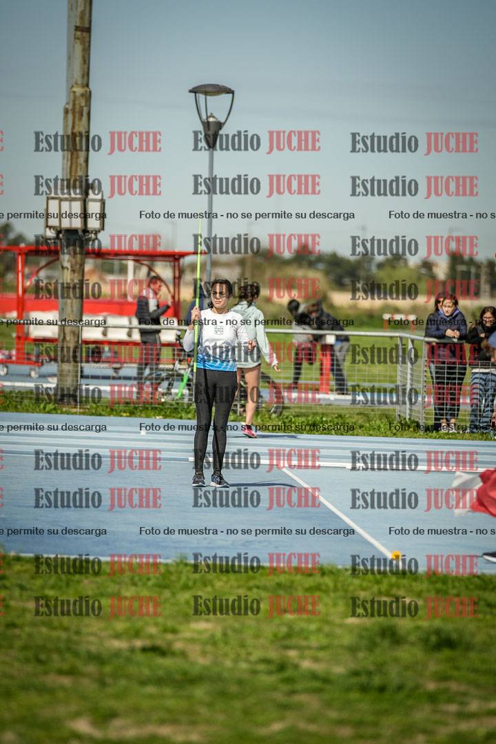 Fotos del lanzamiento de jabalina - todas las categorías