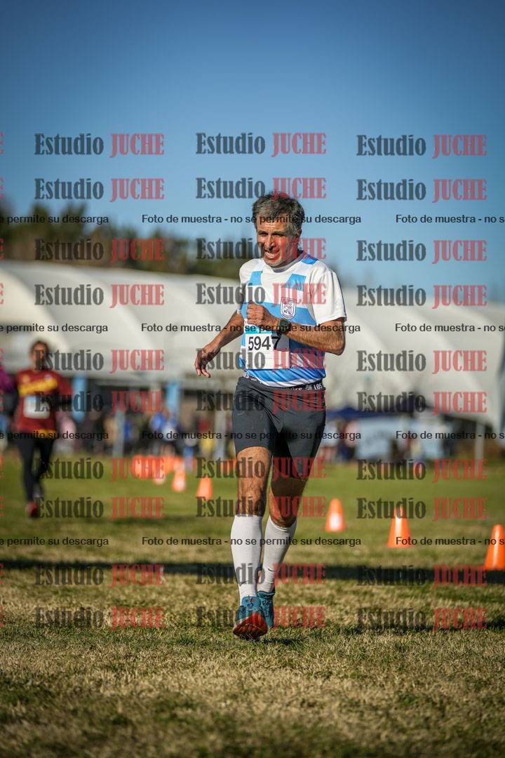 Fotos de las llegadas