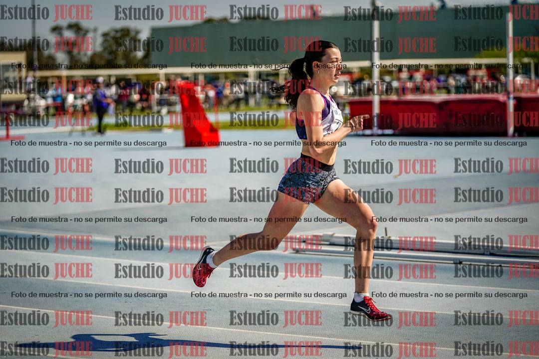 Fotos de los 800 m llanos de mujeres