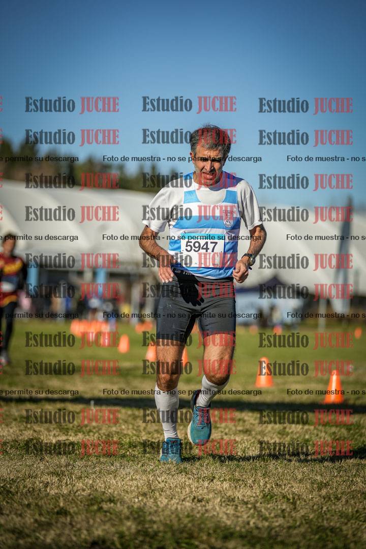 Fotos de las llegadas
