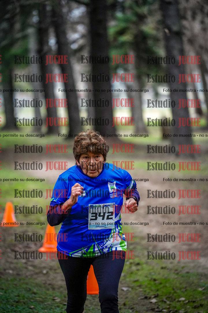 Fotos en el circuito