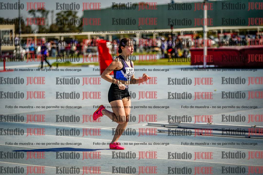 Fotos de los 800 m llanos de mujeres