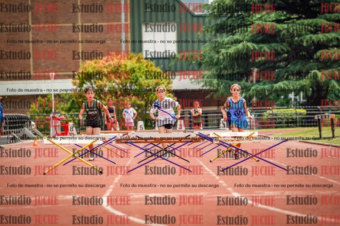 Fotos de los 60 m con vallas de mujeres