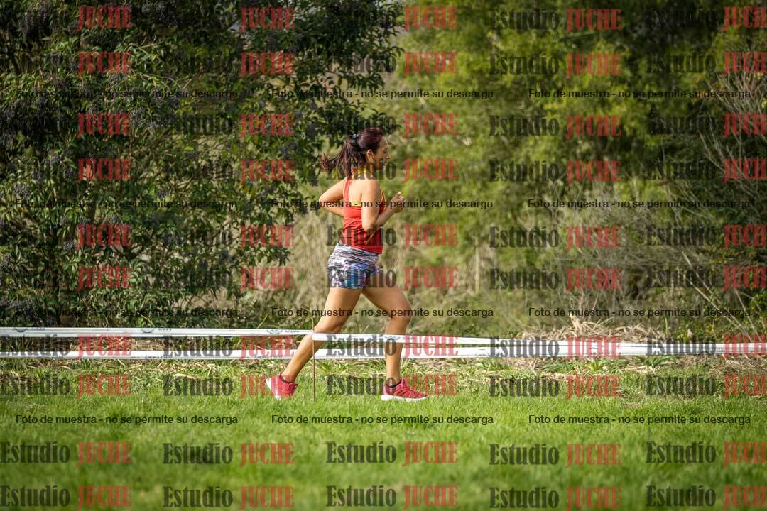 Fotos en el circuito