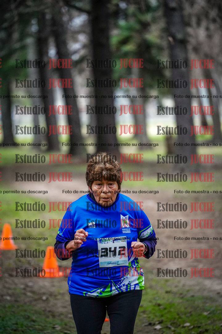 Fotos en el circuito