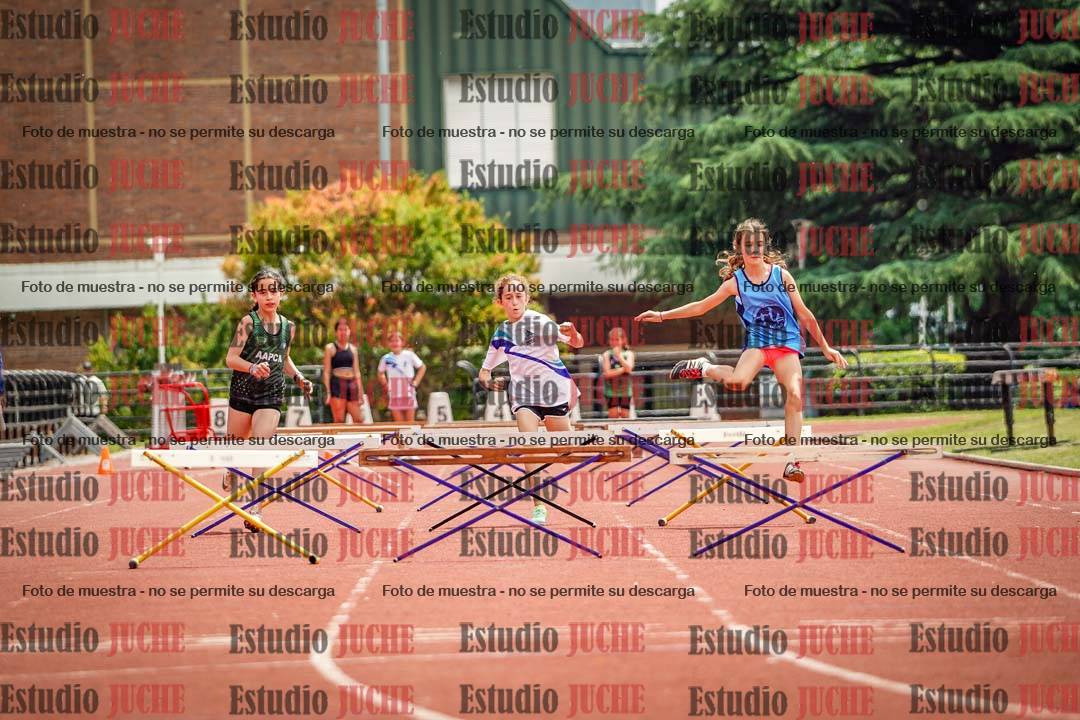 Fotos de los 60 m con vallas de mujeres